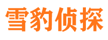 平乐市调查公司